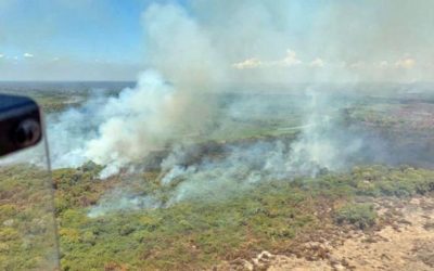 Promessa de verba faz Ibama retomar ações anti-incêndio de 1,4 mil agentes