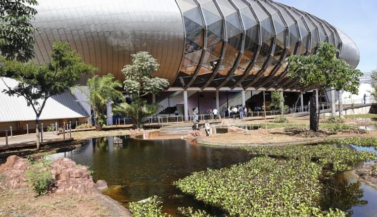 Tanques no aquário do Pantanal podem começar a receber peixes em março de 2021
