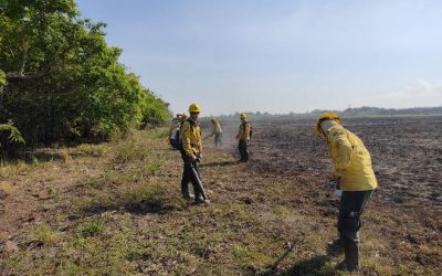 Após 8 dias de combate intenso, incêndios na Serra do Amolar são controlados