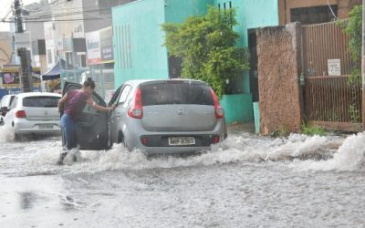 Tempestade em Campo Grande derruba árvores e tumultua trânsito no Centro