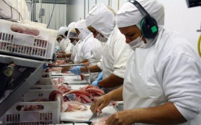 Governo de MS vê com otimismo vitória de Joe Biden nas eleições dos EUA