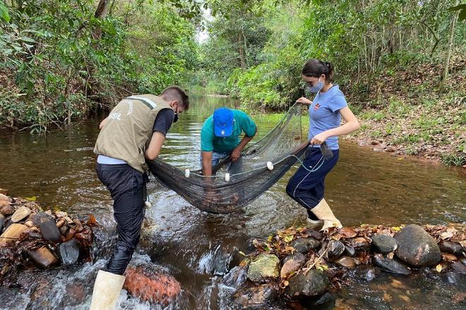 Imasul identifica 104 novas espécies de peixes no Pantanal e amplia inventário em 40%