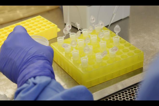 Covid-19: vacina própria da Fiocruz pode ter testes clínicos em 2021