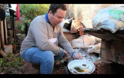 Campo Grande está em alerta para surto de infestação de doenças transmitidas pelo Aedes Aegypti