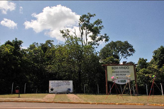 Juiz concede liminar e proíbe desmatamento no Parque dos Poderes