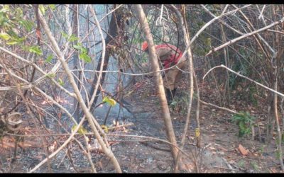 Fogo na Chapada dos Veadeiros afeta 14 mil hectares