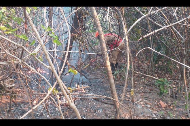 Fogo na Chapada dos Veadeiros afeta 14 mil hectares