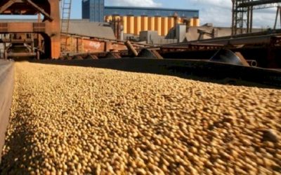 Mato Grosso do Sul exporta US$ 2.53 bilhões no primeiro quadrimestre de 2022