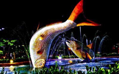 Turismo de MS promove ações de neutralização de carbono e gestão de resíduos no Festival de Bonito