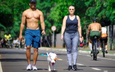 Projeto ‘Amigos do Parque’ completa 7 anos e se consolida como local de lazer para famílias