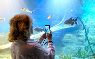 Bioparque Pantanal está fechado para manutenção e reabre dia 9 de janeiro