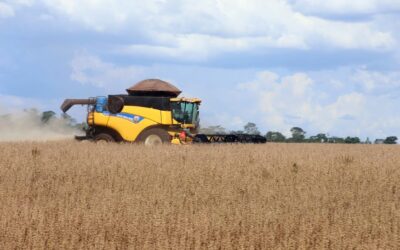 MS teve o maior crescimento do PIB do agronegócio entre os estados brasileiros