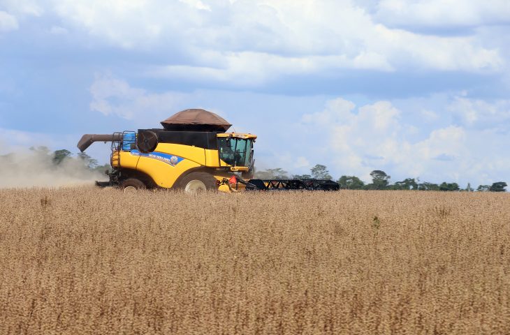 MS teve o maior crescimento do PIB do agronegócio entre os estados brasileiros