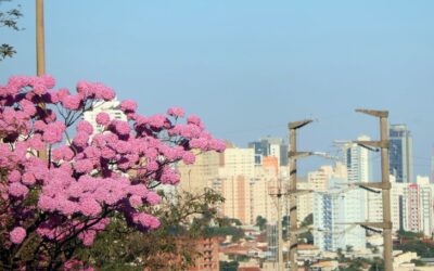 Semana começa com temperaturas altas e calor intenso no Estado