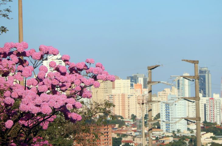 Semana começa com temperaturas altas e calor intenso no Estado