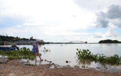 Pantanal deve ter neste ano a maior estiagem da década