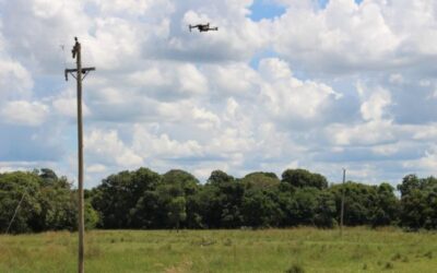 Para prevenir incêndios no Pantanal, Agems intensifica inspeções das redes rurais de energia em MS