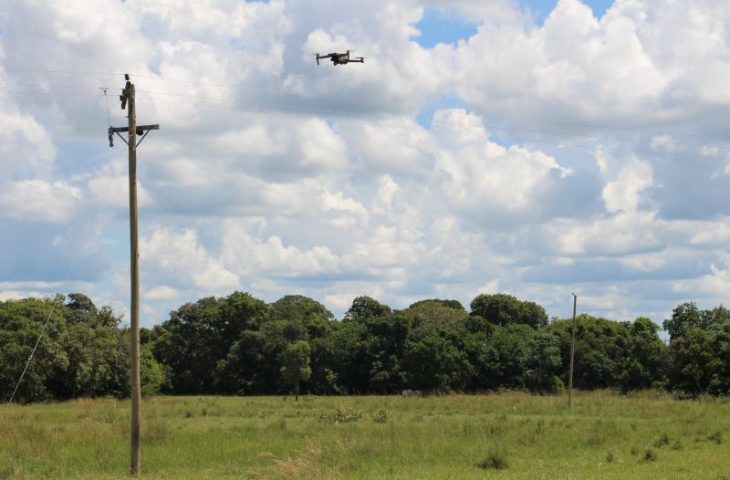 Para prevenir incêndios no Pantanal, Agems intensifica inspeções das redes rurais de energia em MS