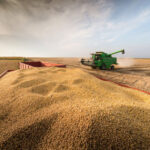 Mato Grosso do Sul teve a maior queda de produção de grãos do país