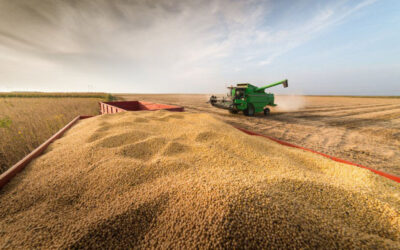 Mato Grosso do Sul teve a maior queda de produção de grãos do país