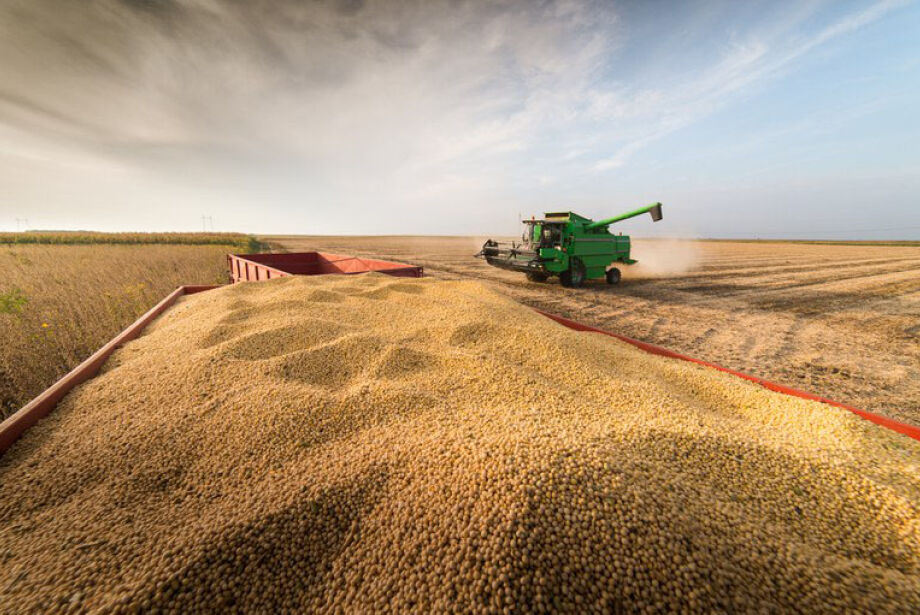 Mato Grosso do Sul teve a maior queda de produção de grãos do país