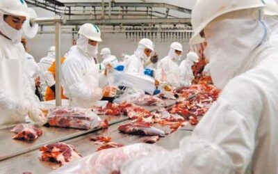 MS quintuplica a capacidade de exportação de carne para a China